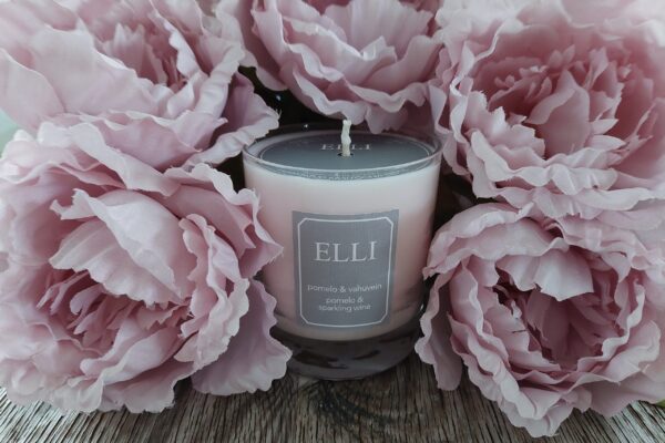 Miks eelistada sojavahast küünlaid?